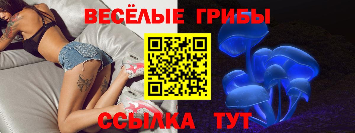 Галлюциногенные грибы MAGIC MUSHROOMS  Вход с VPN  Галлюциногенные грибы мицелий  Гусиноозёрск 